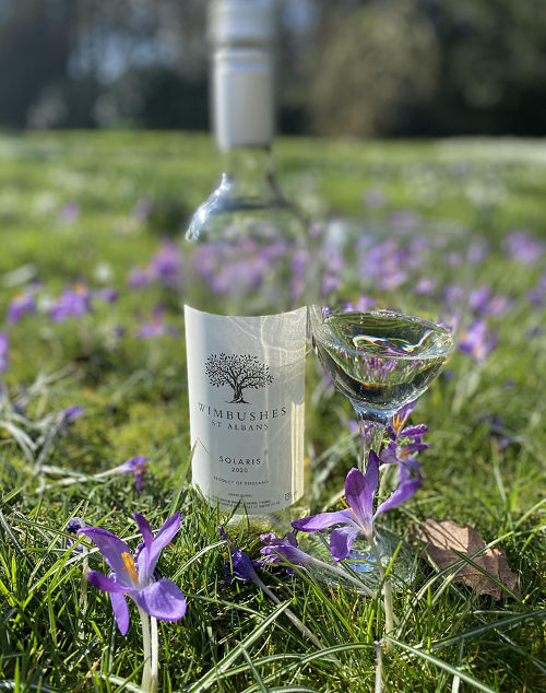 Wimbushes Solaris Wimbushes Solaris